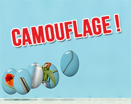 Camouflage - carte virtuelle humoristique personnalisable