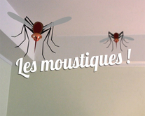 Les moustiques