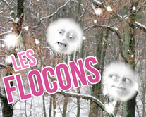 Les flocons - carte virtuelle humoristique à personnaliser