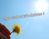 Un anniv lumineux